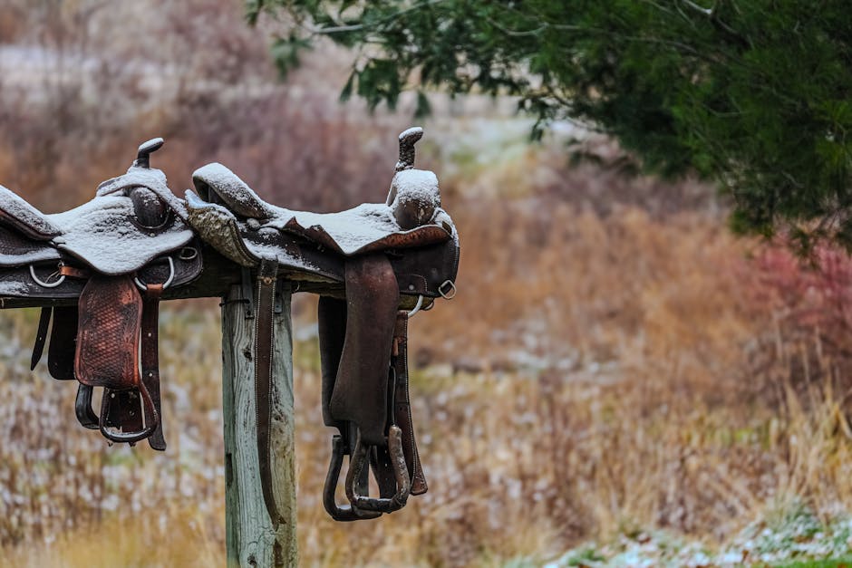 A serene winter scene of snow covered horse saddles on an outdoor wooden rack.