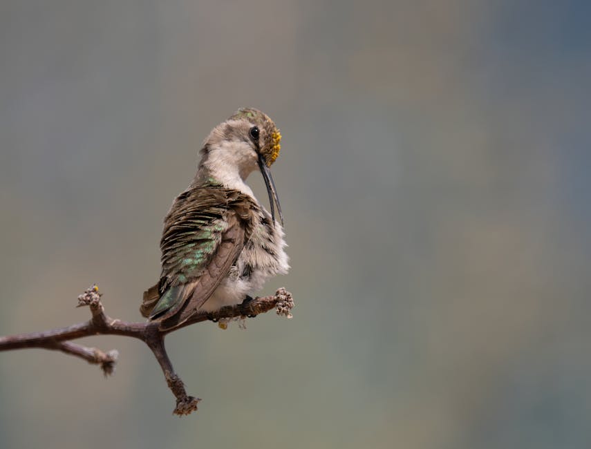 small pill on palm with blurred background