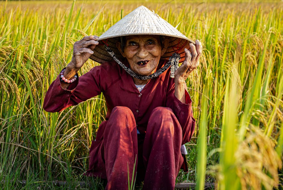 日本藤素怎麼吃才有效？老農夫教你正確吃法，重拾年輕活力。